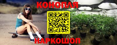 PSILOCYBIN Ефремов
