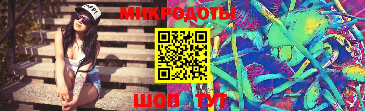 Галлюциногенные грибы Psilocybine cubensis Орехово-Зуево